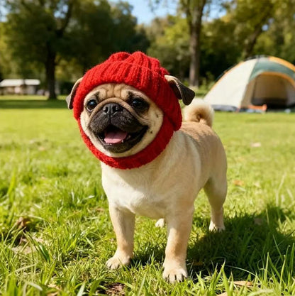🔥LAST DAY 50% OFF - 🐾Red Wool Knit Dog Beanie with Ear Flaps – Warm Winter Hat
