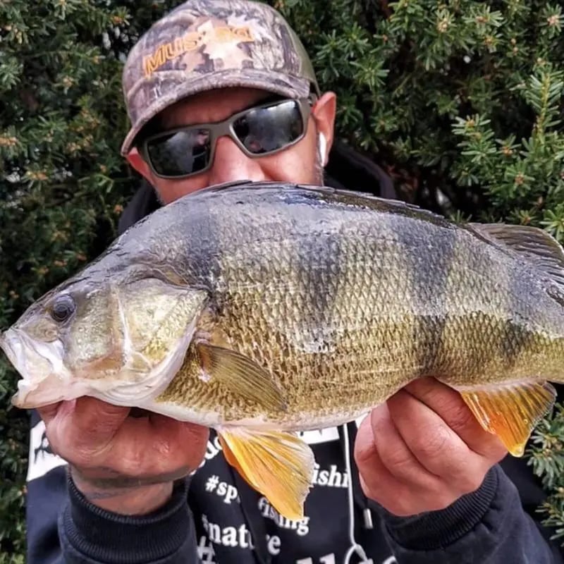 👓Polarized Sunglasses Rectangular Sunglasses For Men And Women