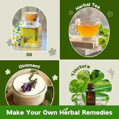 🌿The Ancestral Apothecary Seed Chest: 40 Varieties of Medicinal Herb Seeds 🌱