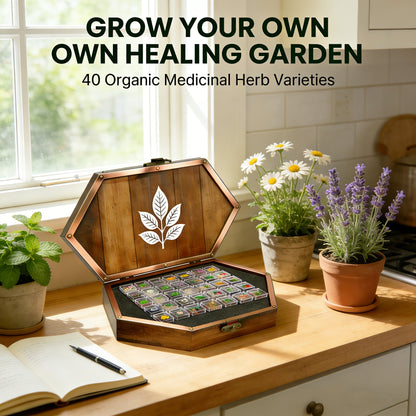 🌿The Ancestral Apothecary Seed Chest: 40 Varieties of Medicinal Herb Seeds 🌱