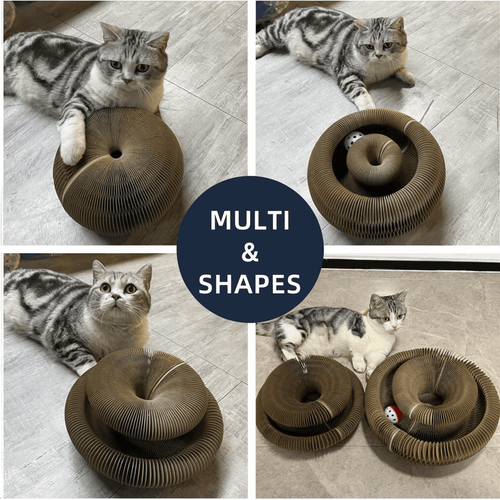 CatFold™-Accordion Cat Scratcher Toy